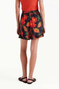 SHORT COMPAÑIA FANTASTICA