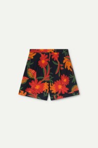 SHORT COMPAÑIA FANTASTICA