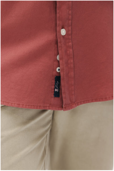 CAMISA EL PULPO